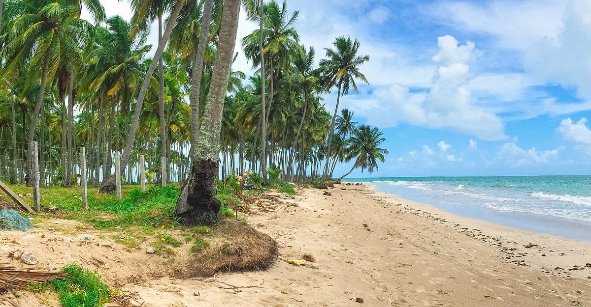 Troca de temporada em Porto de Galinhas: o paraíso pernambucano ao seu alcance