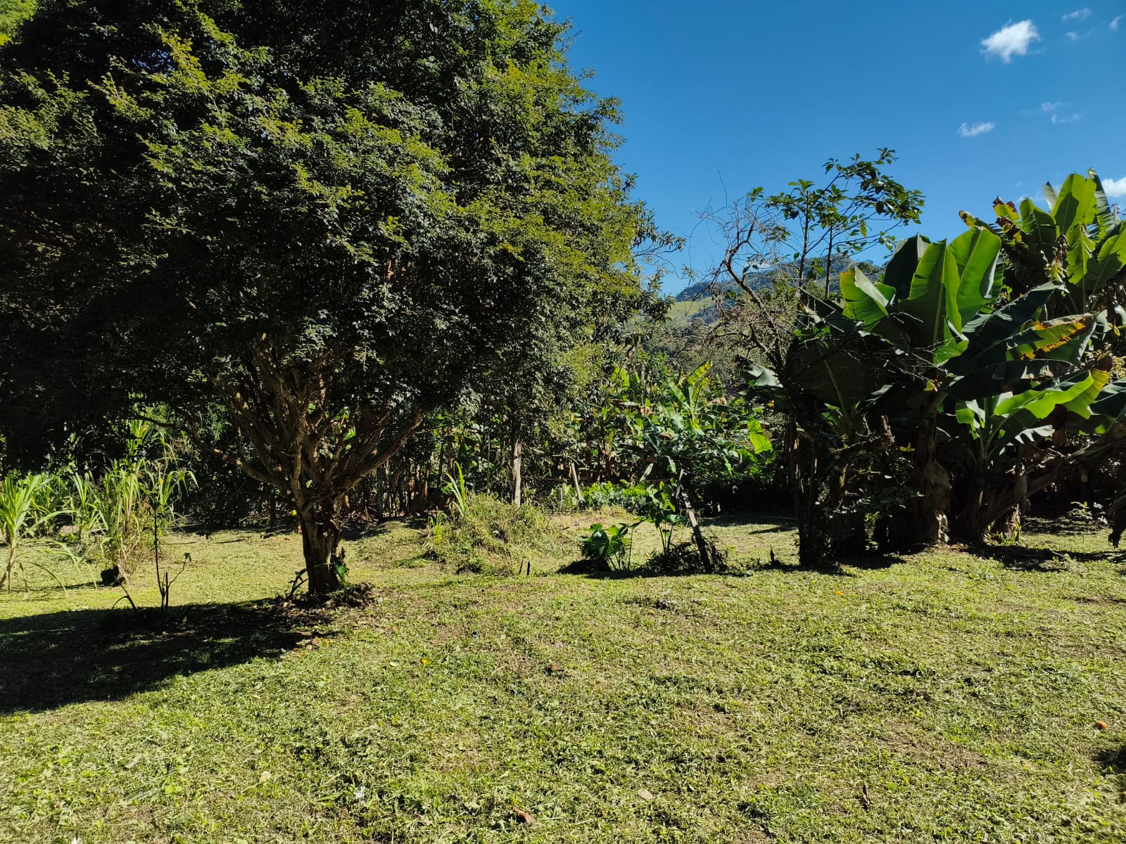 Casa na serra macaense entre Macaé e Trajano de Moraes a 23km de trajano e 55km de Macaé-RJ — Foto 1